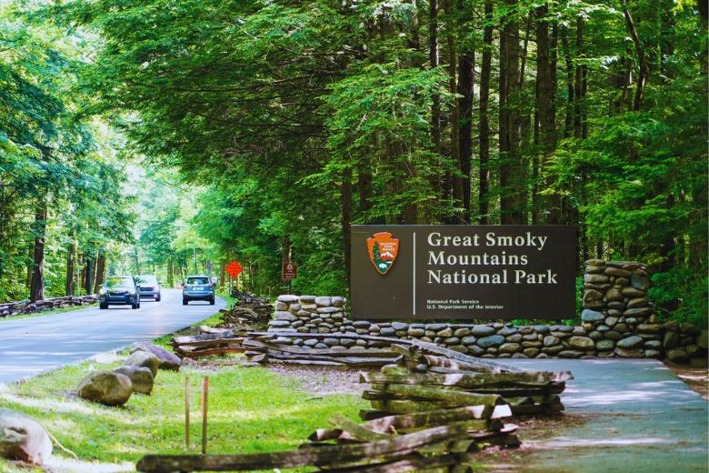 Top 7 Things to Do in the Smoky Mountains This March